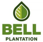 Bell Plantation