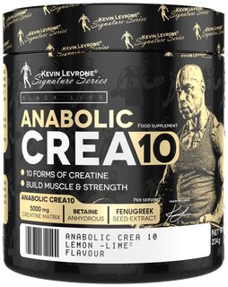 Kevin Levrone Signature Series Anabolic Crea 10  - 234 g Pulver Fruit Punch
